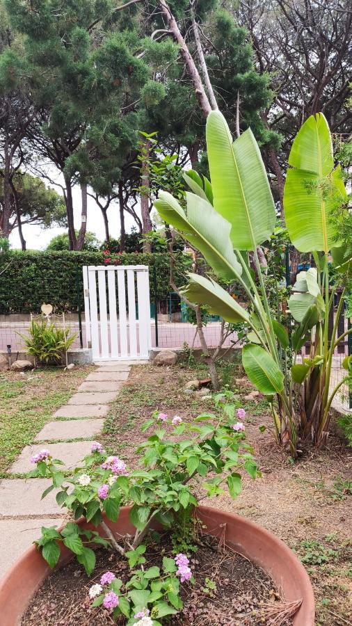 Villino Sunshine Villa Santa Margherita di Pula Exterior foto